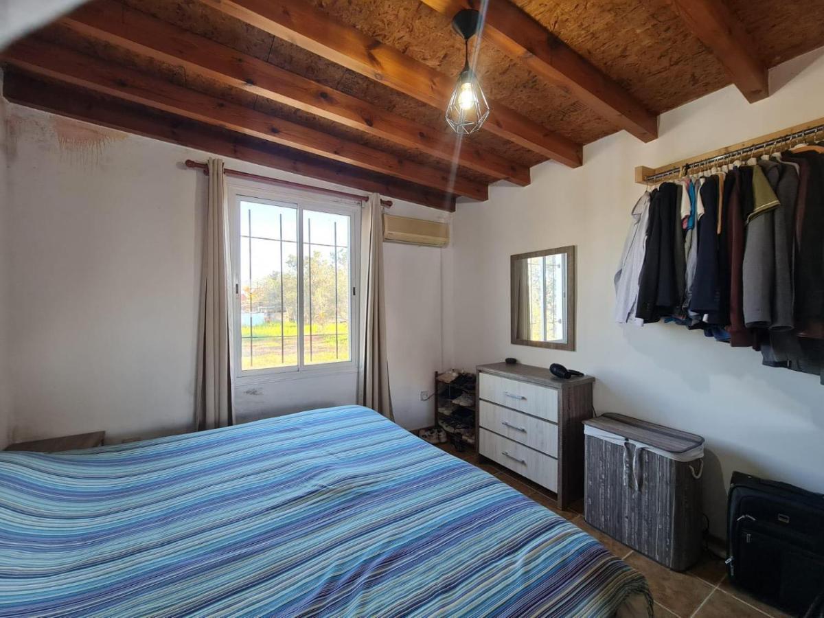 Spacious Studio In Yeroskipou Koloni Экстерьер фото