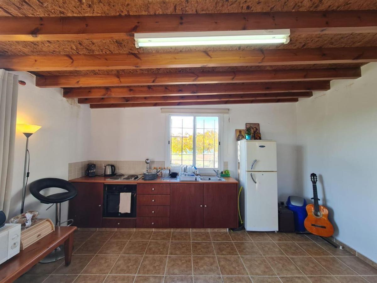 Spacious Studio In Yeroskipou Koloni Экстерьер фото